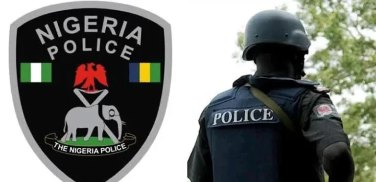 Police Arrest Two Ondo Undergraduates For Alleged Conspiracy, Rape