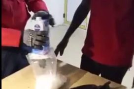 NDLEA Uncovers Drugs Concealed in Yoghurt, MP3 Players